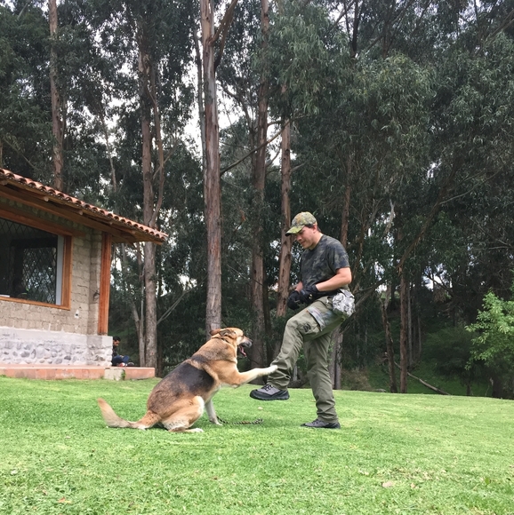 Meet your Posher, Edgar - Picture 1 of 7